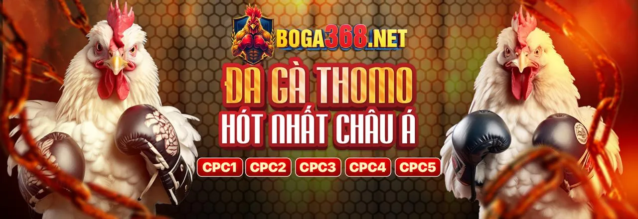 Đá gà trực tuyến kịch tính tại vn100 chính thức